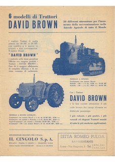 David Brown